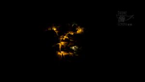 Belnome dal drone by night